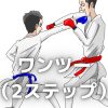 karate-onetwo-2
